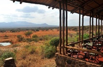 blick von der lodge terrasse auf das wasserloch mit den tieren elefanten