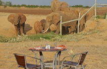 breakfast am wasserloch mit elefanten
