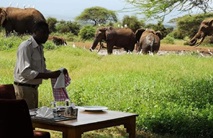 bushdinner direkt am wasserloch bei den elefanten